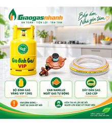 Bộ Bình Gas vàng Víp 12kg